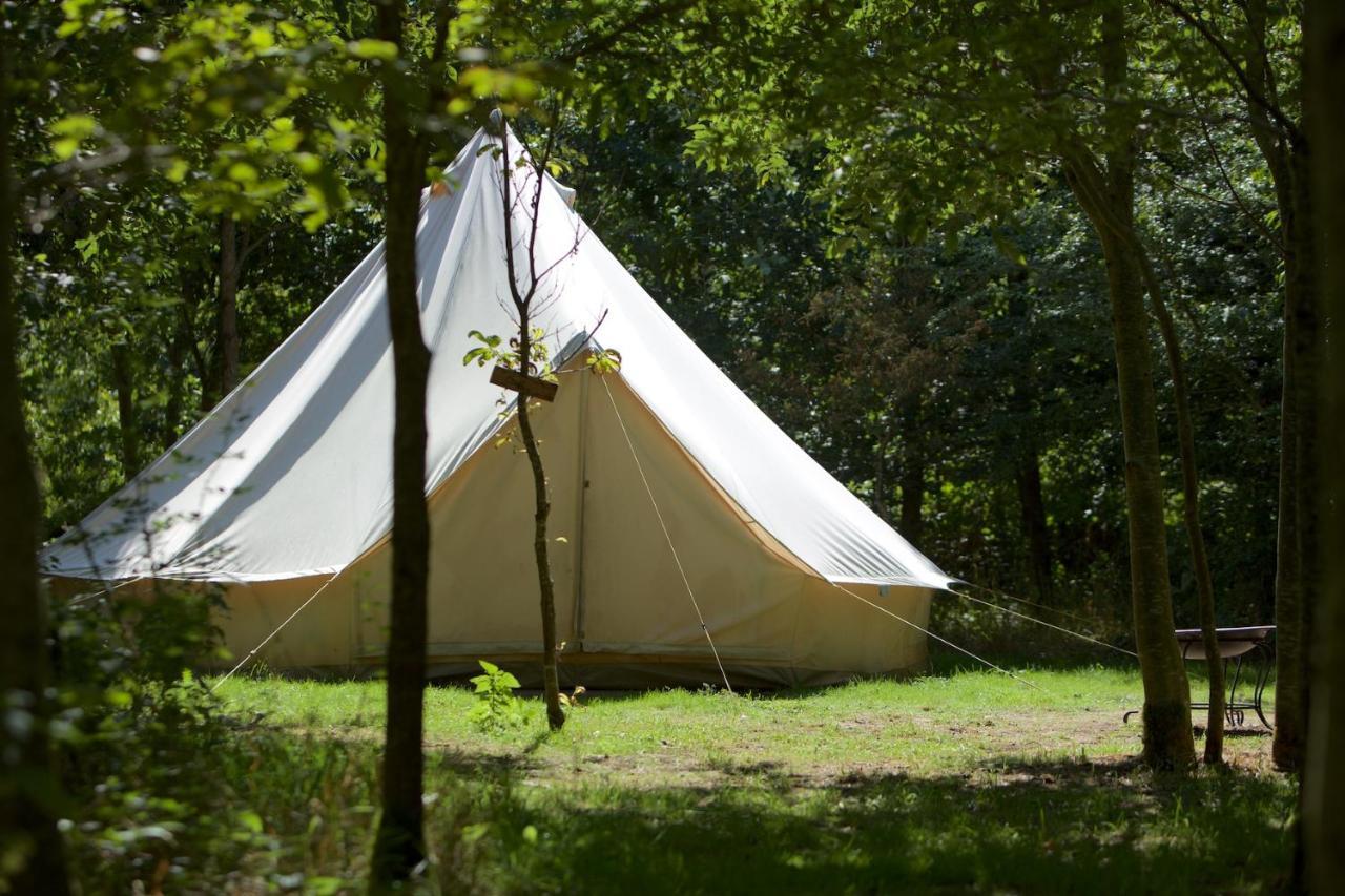 Отель Dgg Woodland Escape South Barrow Экстерьер фото