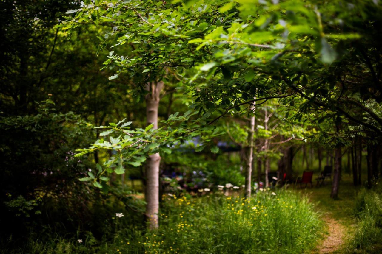 Отель Dgg Woodland Escape South Barrow Экстерьер фото
