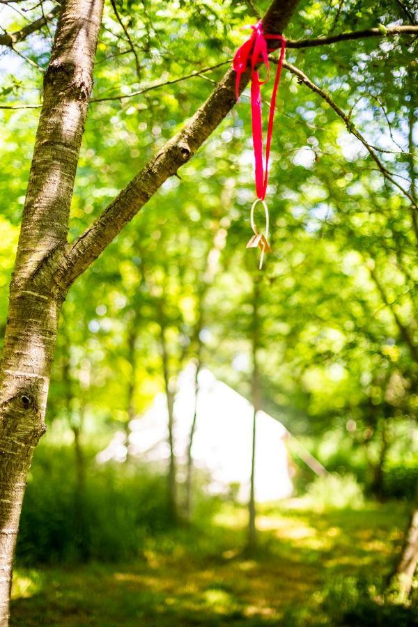 Отель Dgg Woodland Escape South Barrow Экстерьер фото
