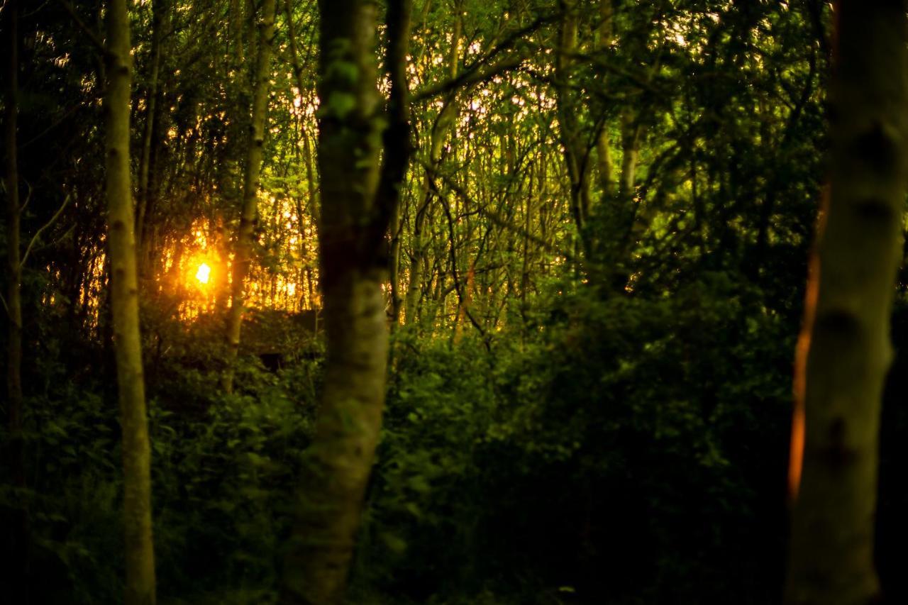 Отель Dgg Woodland Escape South Barrow Экстерьер фото