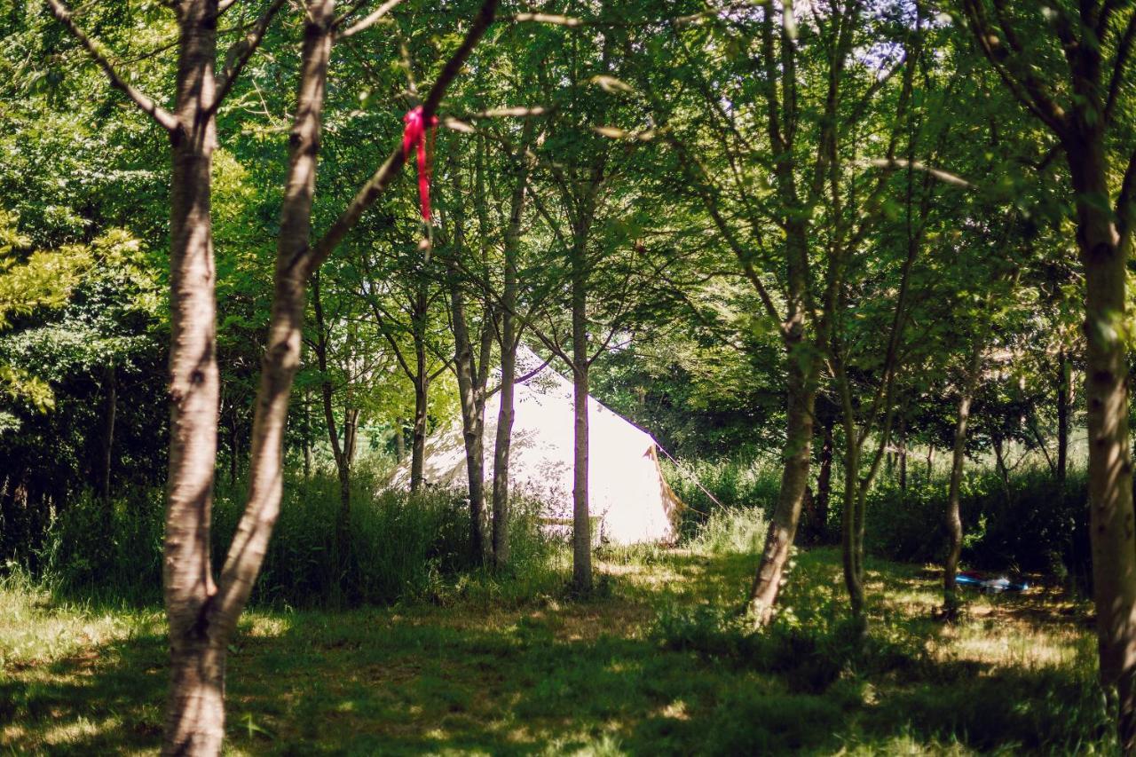 Отель Dgg Woodland Escape South Barrow Экстерьер фото