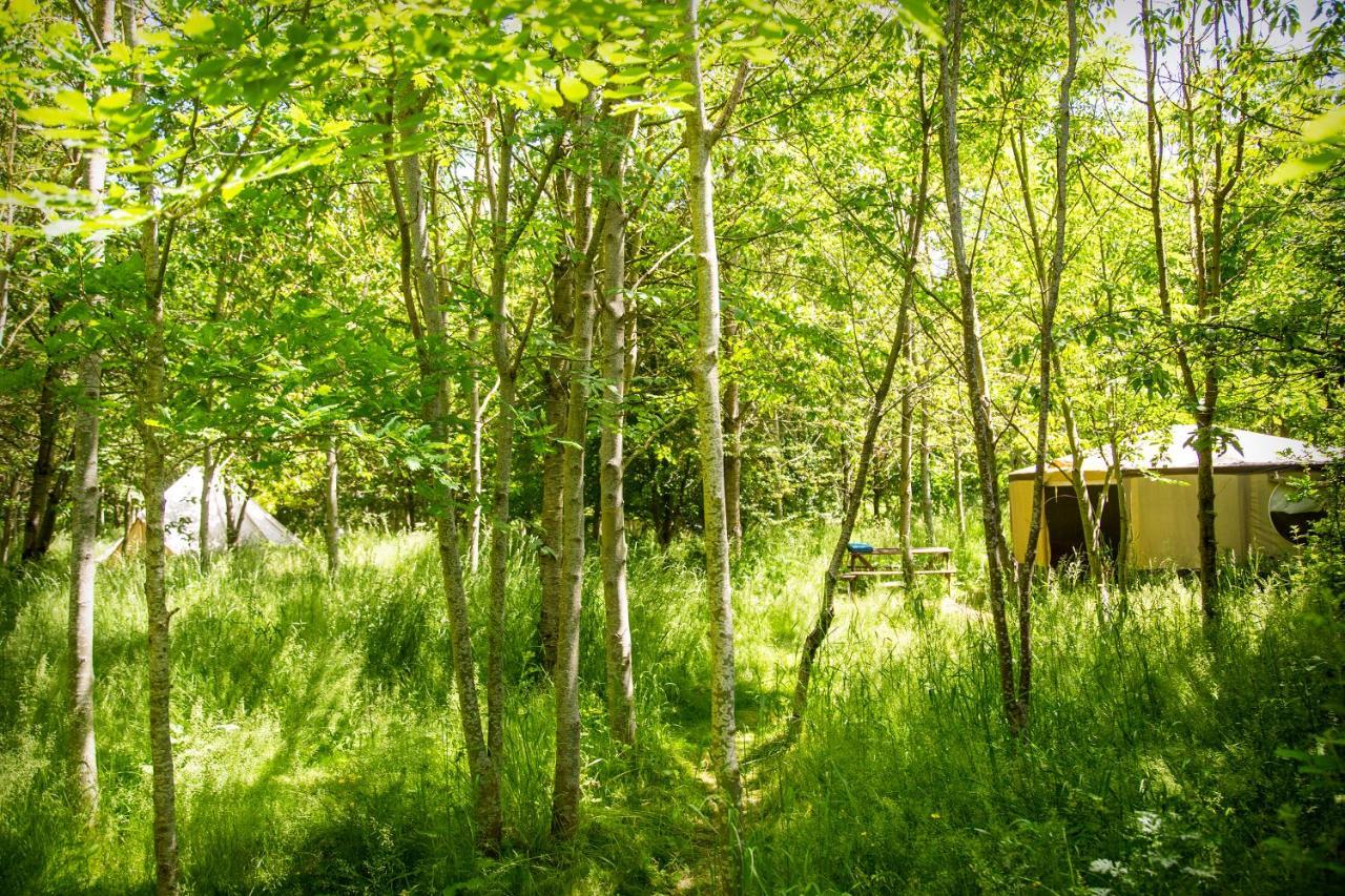 Отель Dgg Woodland Escape South Barrow Экстерьер фото