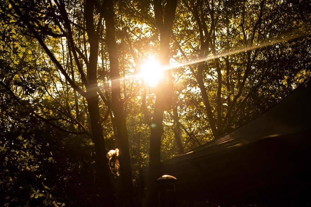 Отель Dgg Woodland Escape South Barrow Экстерьер фото
